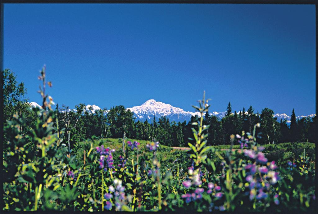 A with an exhilarating multi-night journey that gives you time to explore Alaska s majestic interior. Destination Denali 2013 Celebrity Millennium 17* 10 Included Activities Gold Dredge No.