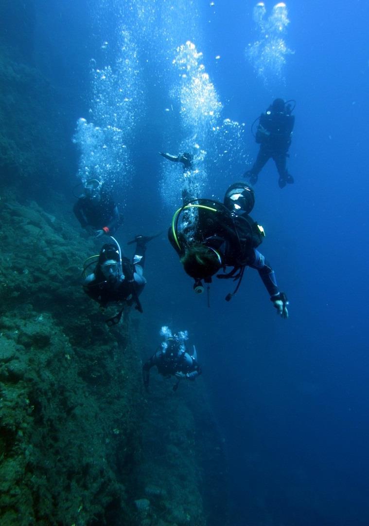 Scuba Diving Scuba Diving for beginners If you have never dived before and would love a new experience, then this is the option for you.