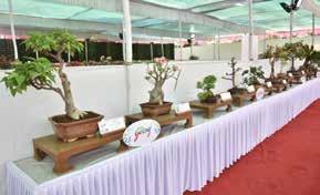 International Flower Show from 9-10 Jan, 2016 at MIAL Colony.