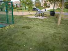 Park Amenities Resurface Trail- 2008 Add pea gravel to play area- 2007 Park Sign- 2004 Sport Court/Fence- 2000 Playground Equipment- 1993 Playground Equipment- 1996 Picnic Table- 2004 Benches (3)-