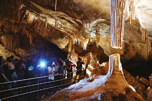 explore Immerse yourself in the timeless beauty, romance and magic of Jenolan Caves Nestled in the Blue Mountains World Heritage Area of New South Wales, the spectacular Jenolan Caves are a must see