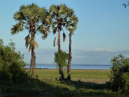 Lake Manyara. The lodge has a magnificent view far into the East African Rift Valley.