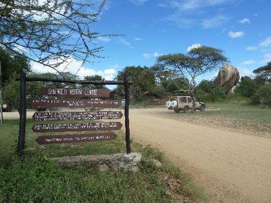 Day 6: Full-day game drive with picnic, visit to the Serengeti Visitor Centre Depending on the time