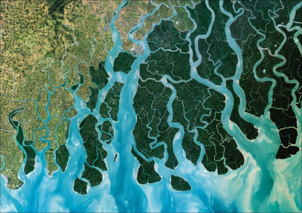 4.11. Dolina tipa XI Delte Dolina tipa XI jedinstvena je serija terena koji se sastoje od velike delte rijeka i plimnih ravnica izgrađenih od finog aluvijalnog materijala koji potječe iz riječnih
