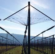 For heavy-duty anchoring, bracing, or overhead trellis applications where dynamics may be involved, hail netting for example, the