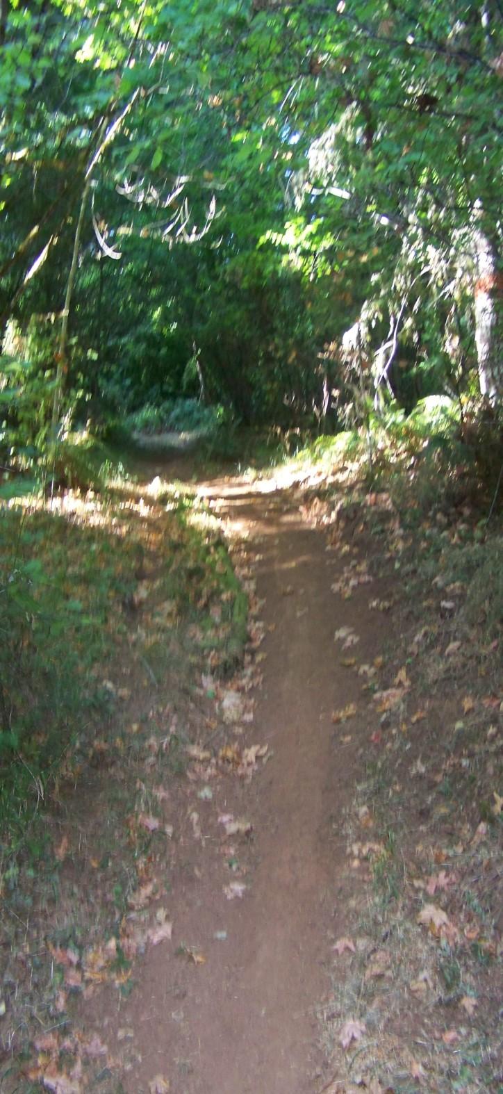This trail is ideal for mountain bikers and horseback riders and is best traveled by starting on the upper end on the 600/620 rd