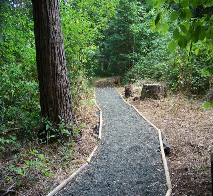 Future plans include expanding the number of arboretum trails, planting new species, installing more signage, and adding benches along certain areas.