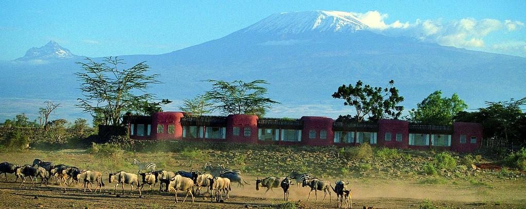 Amboseli Serena Lodge Aside from flamingo and other waterbirds which abound, other wildlife highlights include black and white rhino, hippo, Rothschild giraffe, lion, leopard and a variety of
