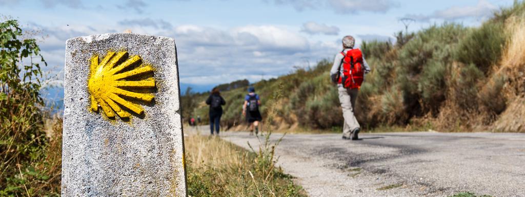 Daily breakfast and evening meal served at hotels Experienced Camino walking guide Pilgrim passport & walking notes DUBLIN DEPARTURES 16 MAY 7 NIGHTS 4 nts Lugo 3 nts Santiago de Compostela 12