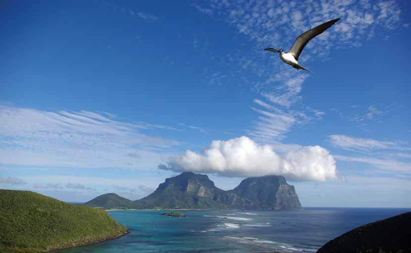 View from Mt Eliza. Photo Michael Legge Wilkinson, Lord Howe Island Board of the Convention? There is a current move away from reactive decision making to proactive strategic assessment.