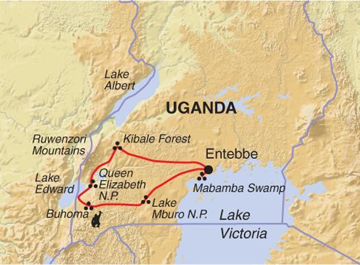Land Only Itinerary Day 1 Start Entebbe; drive to Kibale Forest. Those on the group flights arrive in the late morning and we depart on the drive to Kibale Forest.