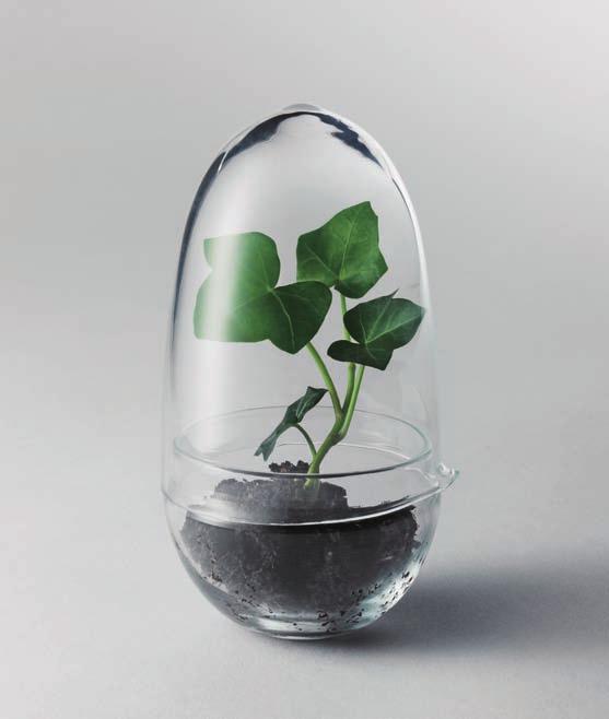 Grow greenhouse Designed by Caroline Wetterling Trio vases Designed by Jonas Wagell A greenhouse for
