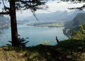 Day 1: Individual journey to Lake Wolfgangsee Itinerary Day 2: Roundtrip to some alpine pastures above Lake Wolfgangsee 14 km + 480 m - 470 m Starting from the bank of Lake Wolfgangsee you walk