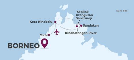 This trip to the Malaysian state of Sabah and Sarawak takes you face to face with many unique species, including orangutans, proboscis monkeys and hornbills.