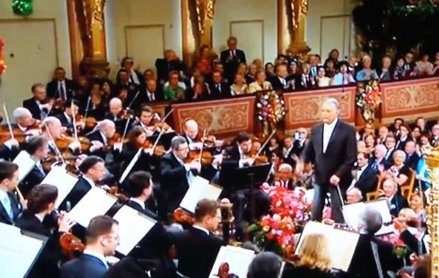 Këtë vit koncerti i Vjenës u drejtua nga dirigjenti Zubin Mehta, i cili bashkëpunon me këtë orkestër prej dekadash dhe është hera e pestë që Maestro Mehta drejton koncertin e Vitit të Ri të