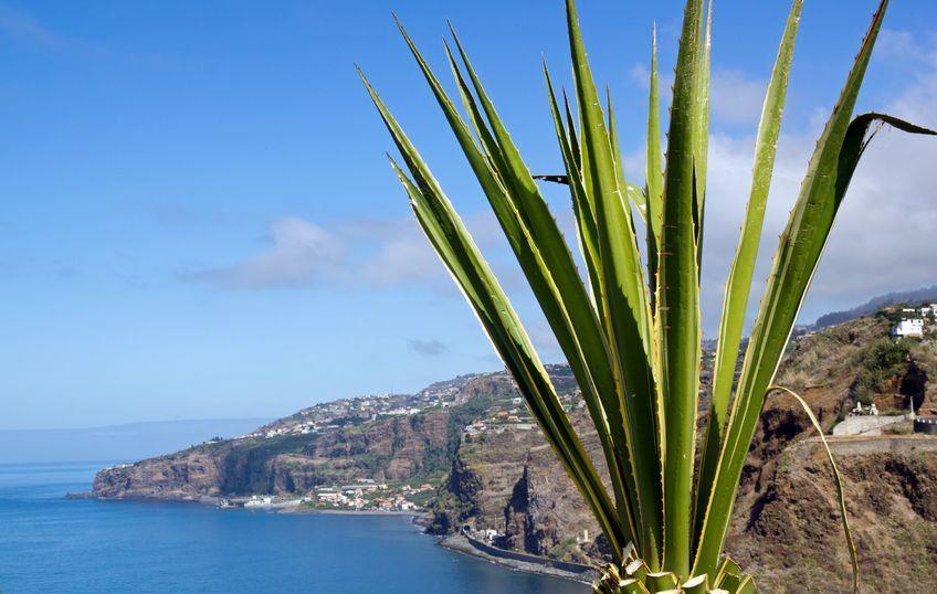 DAILY PROGRAM Day 1: Arrival in Madeira Arrival at Madeira Airport where you will be greeted by our local team. You will be taken to Garajau (20 mins), a seaside village on the south coast.