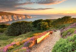 The location The Isle of Wight is located just off the south coast of