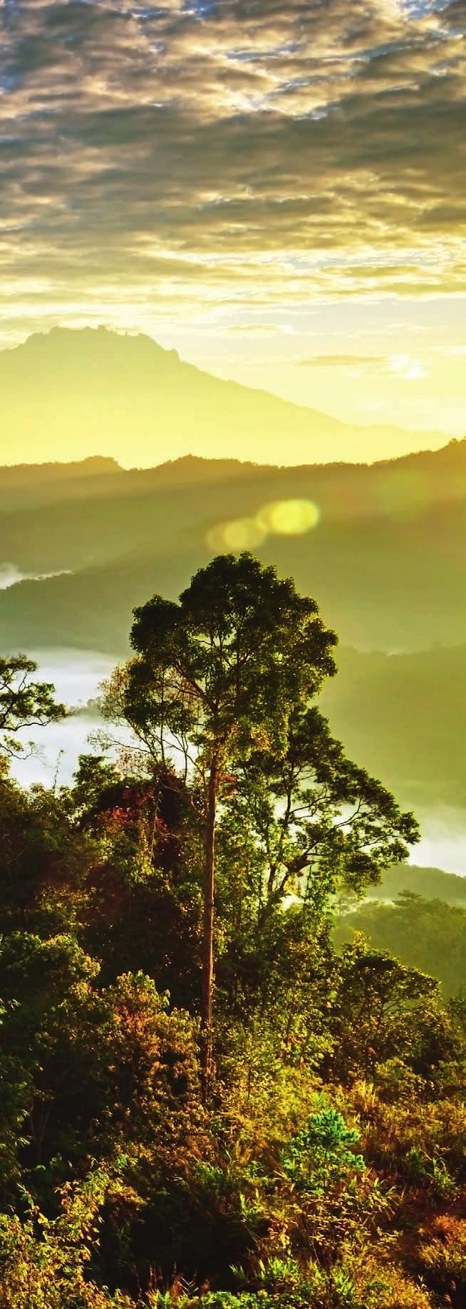 TR AVEL LAND Borneo has long been a must-visit destination for travellers in search of adventure.