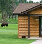 BLUE BELL LODGE» 30 CABINS SPECIALTY CABIN* :» Ponderosa Cabin (sleeps 24) LEGION LAKE LODGE» 27 CABINS STATE GAME LODGE» 47 LODGE ROOMS - double queen and king guestrooms that have