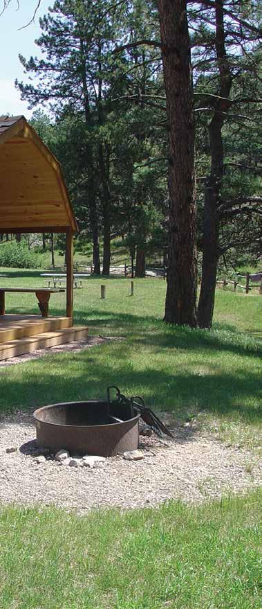 Camping Unpack and unwind beneath the stars in one of Custer State Park 9 campgrounds.