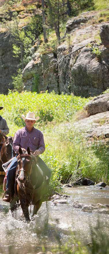 Activities Horseback Trail Riding Blue Bell Lodge Stables Reservations Required 605-255-4700 Arrive 30 minutes prior to scheduled trail ride to complete the required insurance-related paperwork.