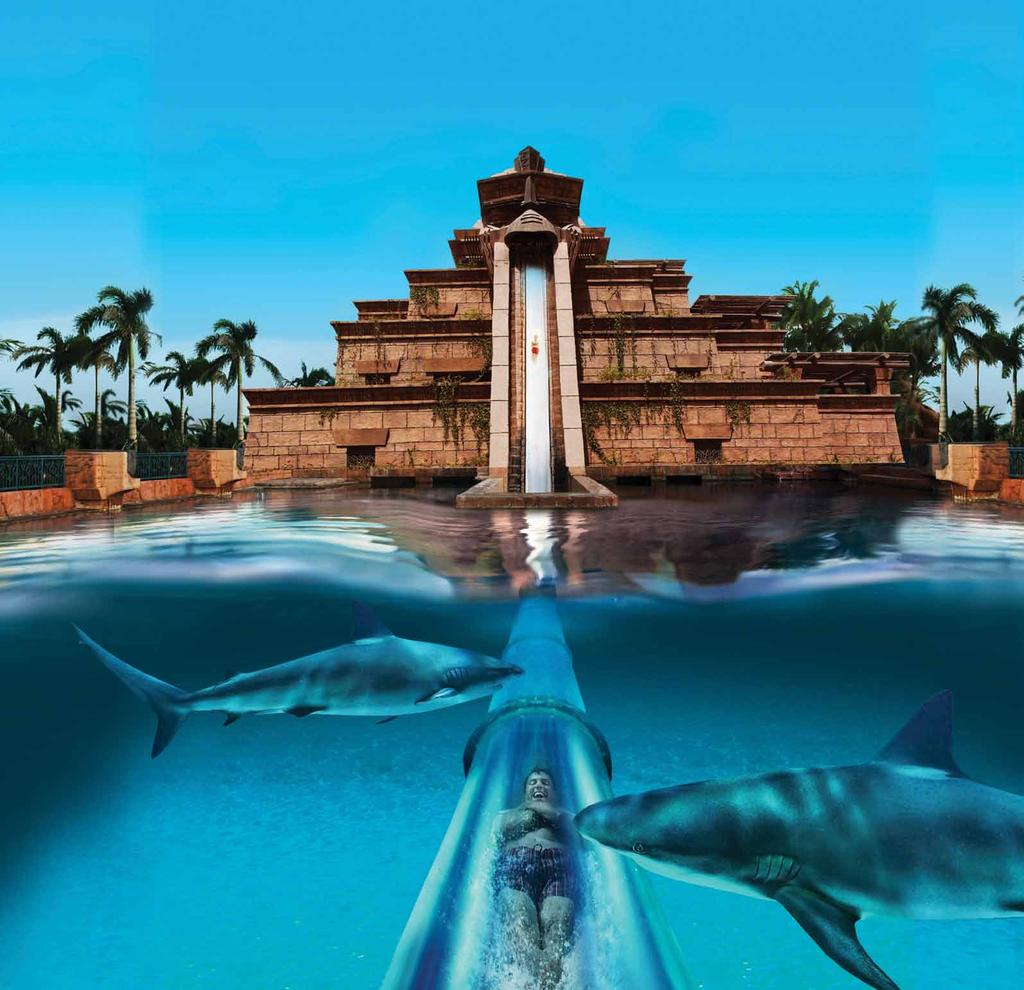slide 27.5 metres down The Leap of Faith through a shark filled lagoon 2.
