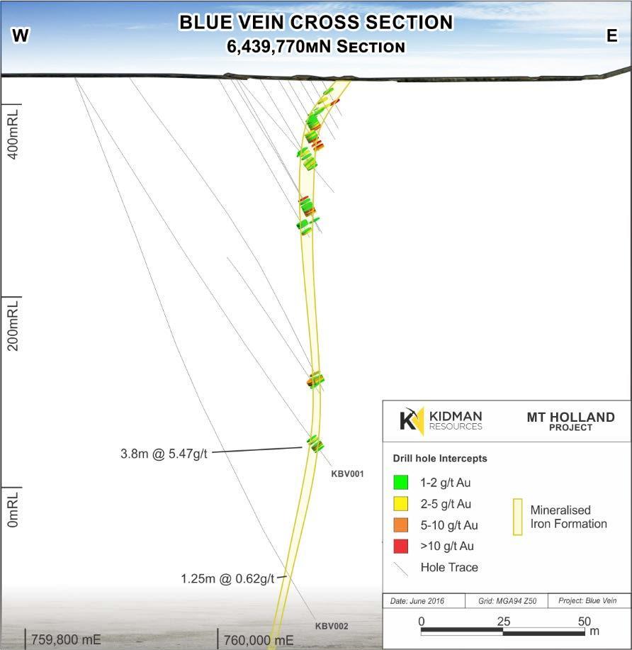 Figure 7: Blue Vein Cross section on 6,439,770 Section.