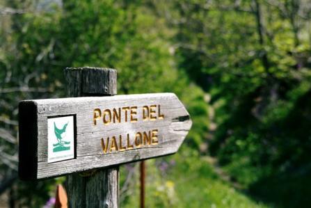A good option could be one of the most famous trails in the National Park, the Camosciara, where it s possible to see chamois wandering freely, or alternatively, the Val di Rose