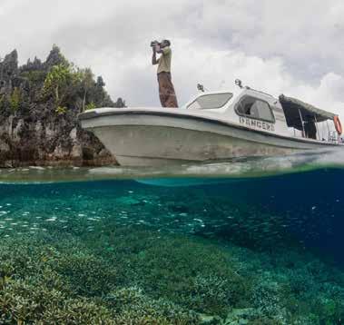 ABOUT THE SITE Situated in a remote corner of Indonesia, Raja Ampat s reefs lie at the epicenter of marine biodiversity, in the heart of the Coral Triangle.
