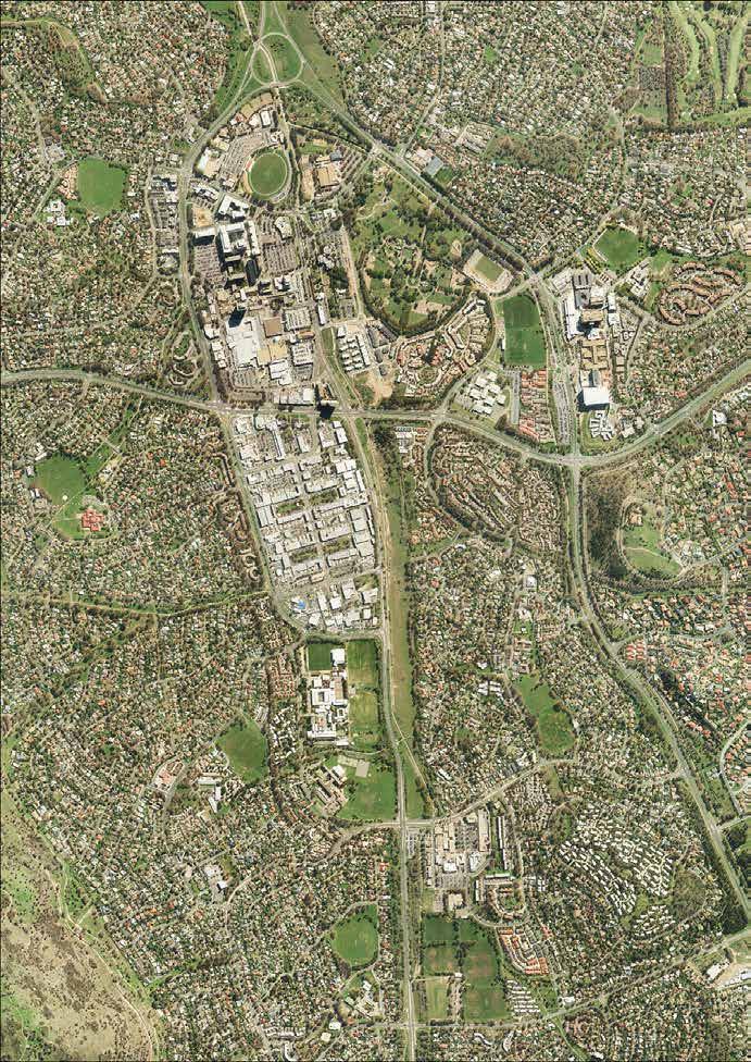 Athllon Drive Figure 1: The Woden and Mawson master plan study areas HUGHES LYONS Phillip Oval Yamba Drive Eddison Park Woden study area GARRAN Woden town centre Westfield The Canberra Hospital