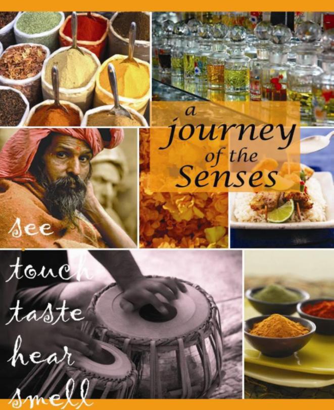 Explore India Journeys