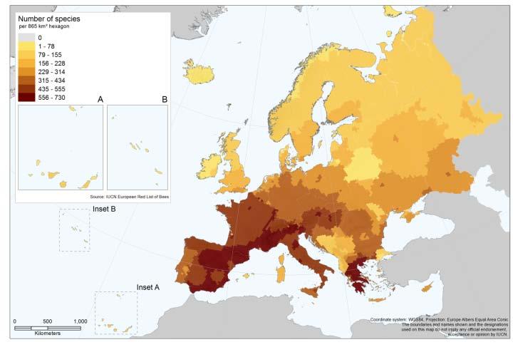 Species richness of European bees High diversity in the