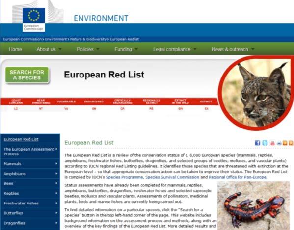 Web portal European Commission http://ec.europa.