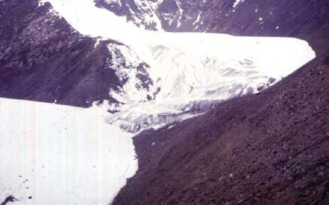 3800-4200 m asl Longest recorded glacier mass