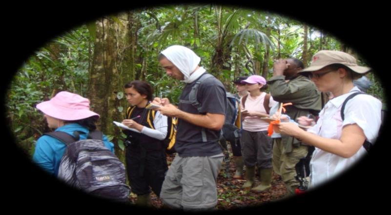 Field observations are an important component of the Costa Rica experience.