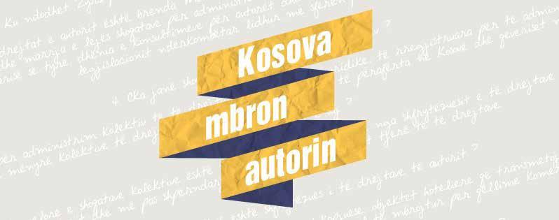 ishte përgjegjës për hartimin e listës së marrëveshjeve, traktateve dhe konventave ndërkombëtare, në fushën e Pronësisë Intelektuale, që Kosova duhet të nënshkruaj.
