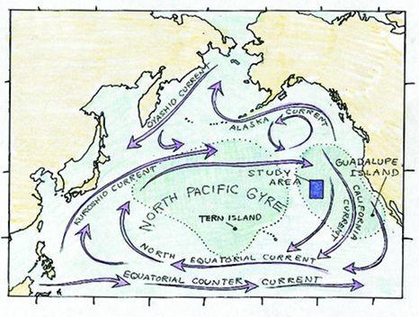 Nord- Pacifika kaj Globala
