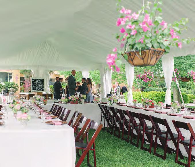 LINERS & DRAPES Elegant Tent Liners and flowing Leg Drapes will add a finishing touch of sophistication and elegance to any event.