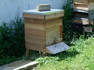Types of Bee Hives Contributions by John Farrow, Sarah Heilbron, Tim Knaggs, Gil & Jim McKintire, Sarah Rapley, Mary & Simon Staffurth, & Bridget Tyler, Calista Dickinson.