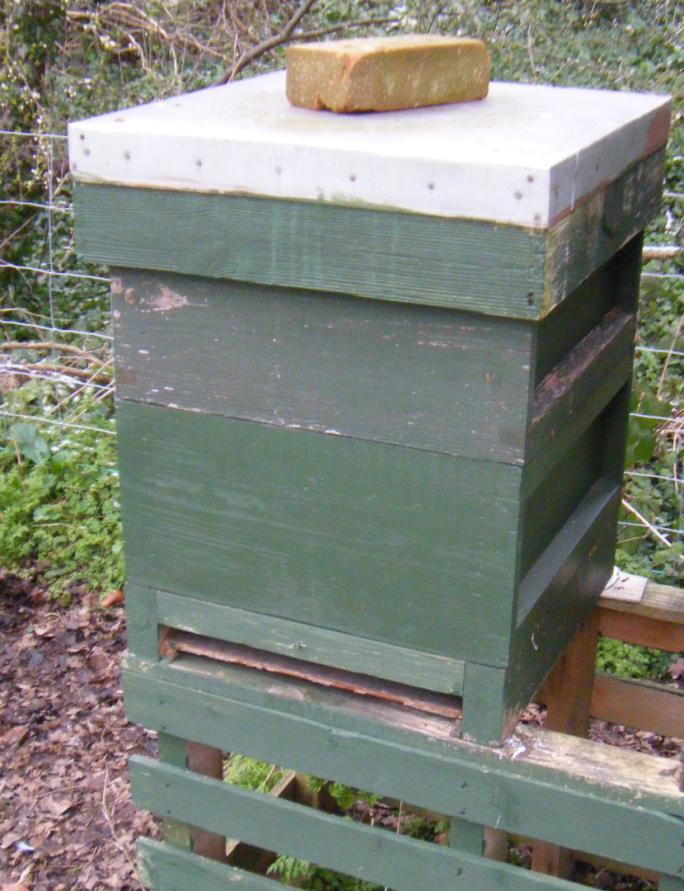 compared with a double brood or brood and a half. This is a photo of 14 12 beehive with one super. Pros: Good sized, single brood chamber Cons: Heavy brood box.