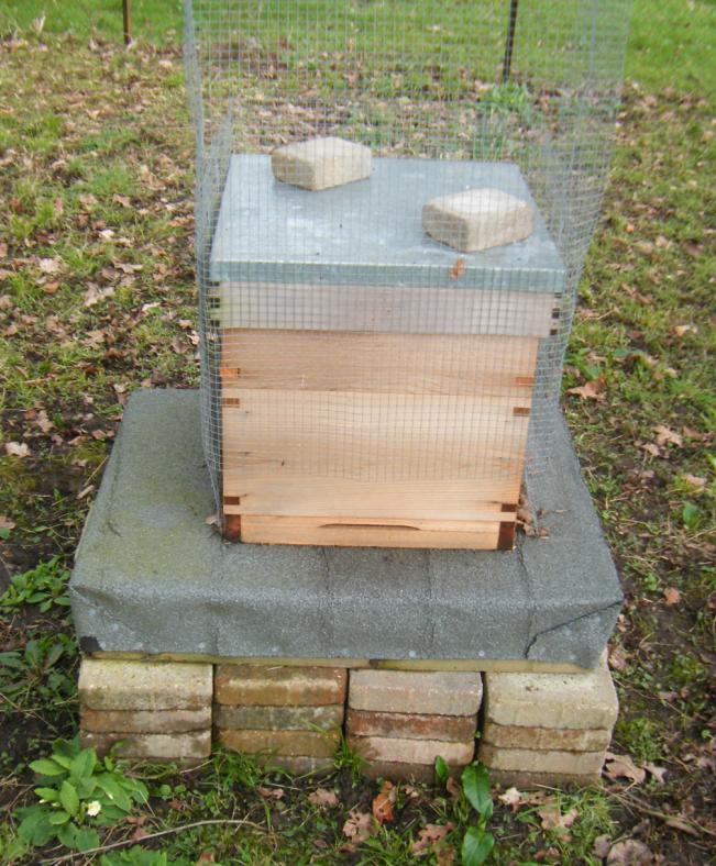 British Standard National using brood and a half Previous Member Gil McKintire s Hive Summary: Very popular British hive. Note the wire mesh to protect the hive from woodpecker damage.