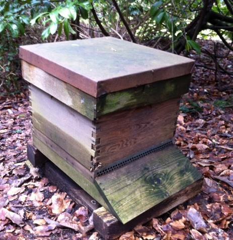 Lifts provide a useful platform to rest boxes on during inspections. Less prone to colony loss from woodpecker damage. Cons: Brood box too small - so many beekeepers end up with a double brood system.