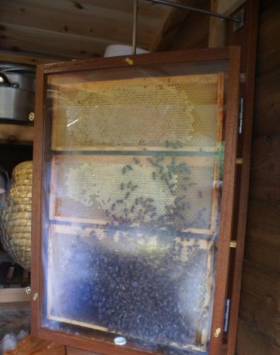 Not being the standard method in the UK is difficult to learn the system. Fixed Single Brood Observation Hive similar to the one above. Member Sarah Rapley set up this Observation Hive in spring 2012.