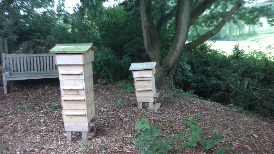 Holds 5 or 6 BS brood frames, for National and WBC hives. A very useful addition as it can provide a spare queen if one of your colonies goes queenless. Member Sarah Rapley s Nucleus Hive.