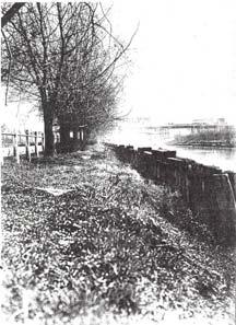 Street Late 1850 s small ships and scows travelled up and down the river as far as Gerrard.