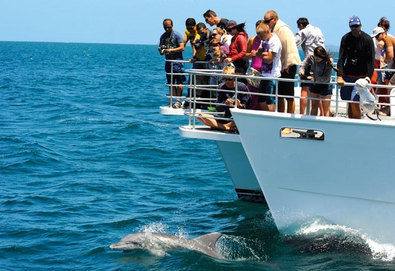 Boom Netting Cruise Dolphin Cruise The perfect family day cruise in Jervis Bay.