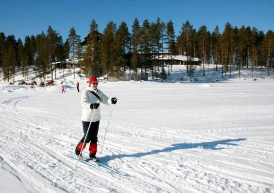 Sightseeing tours: Sightseeing tours in Kuhmo town Winter War tours Countryside tours with introduction to local traditions and tar burning history Activities & programmes: has a selection of