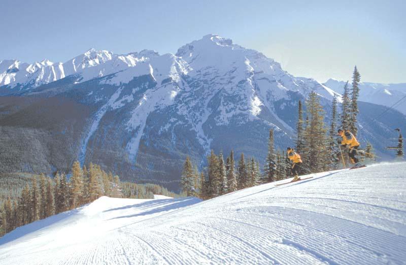 S k i I n d u s t r y T he opportunity to ski in the breathtaking beauty of the Rocky Mountains makes Banff a popular tourism destination in the winter.