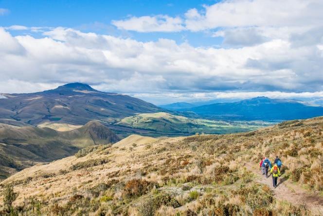 get a good acclimatization for the race. There will be time to walk through some trails that will let you see the paramo vegetation you will encounter in the race.