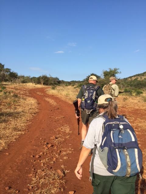 Day 3-5, 9 th - 11 th May: Full days walking and tracking at Thanda.